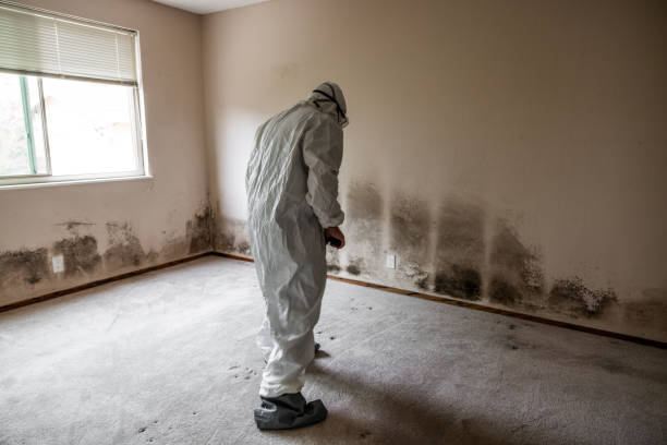 Best Industrial Mold Remediation  in South Les, AK