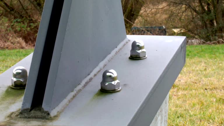 Best Post-Construction Mold Inspection  in South Les, AK